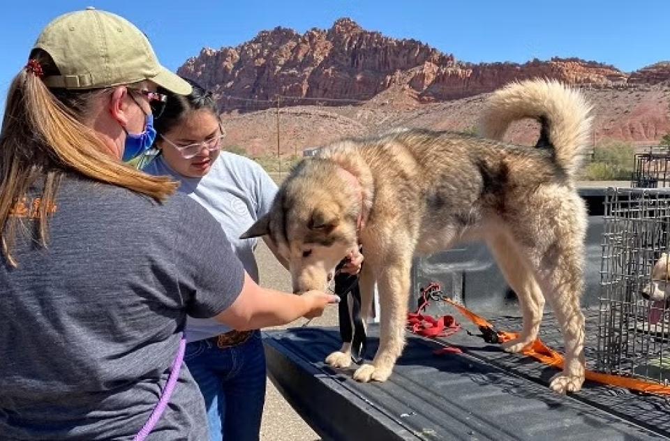 Navajo Nation